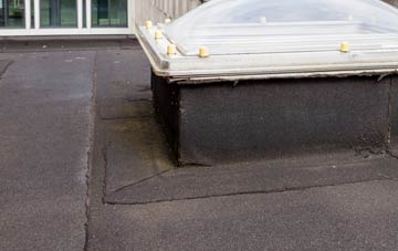 disadvantages of Netherlee flat roofs